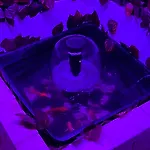 Atico Rilque, Independientes Con Jacuzzi Privado Y Terraza En